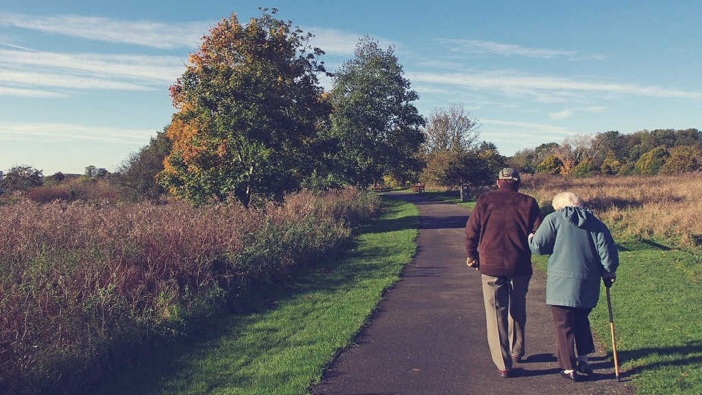 Elderly couple walking in a green park