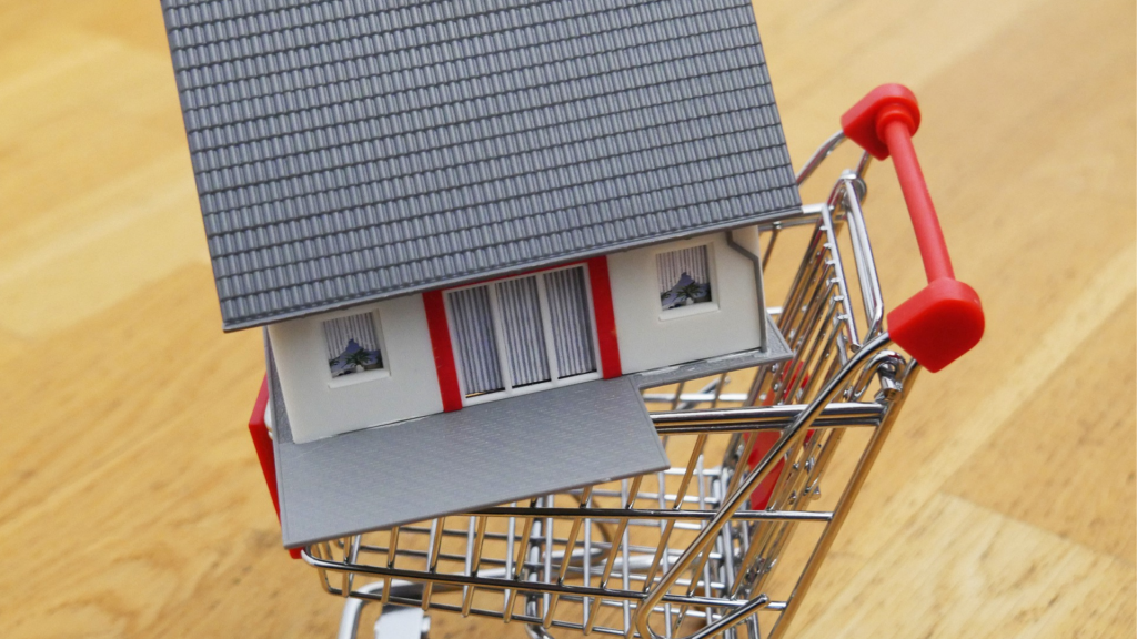 House inside a supermarket trolley